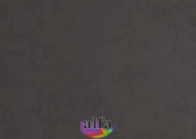 ALFA GAZETKA SZKOLNA 2020 srodki Strona_12 OKLADKA TYL